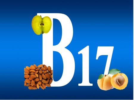 Vitamin B-17 kills cancer