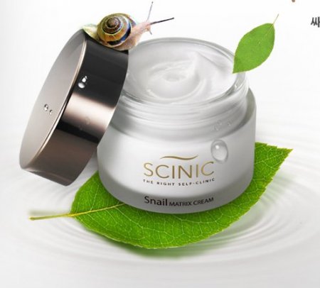 Snail cream - what it is, how and why to use. Feedback on cream with snail extract