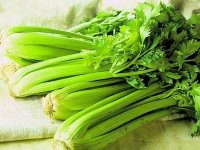 Useful properties of celery