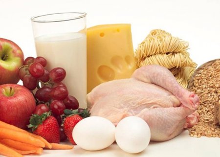 The protein in the food. The role of proteins in the human diet