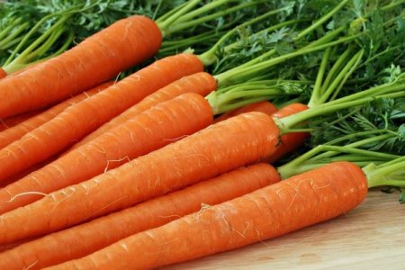 Cooked carrots, composition, use, boiled carrot diet