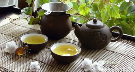 Green tea composition, the benefits and harms of green tea