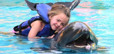 Communicating with dolphins - health benefits and pregnant women