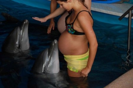 Communicating with dolphins - health benefits and pregnant women