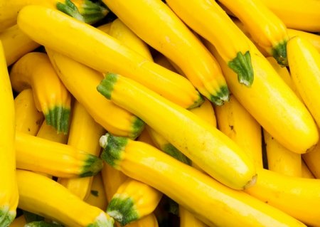 Vegetable marrow: structure, benefits and properties of of courgettes, squash diet