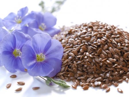 Benefits and harms of flax seeds