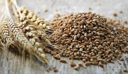 Wheat diet - according to nutritionists, reviews