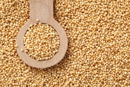 Amaranth oil. Benefits and harms