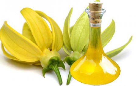 Ylang-ylang. application