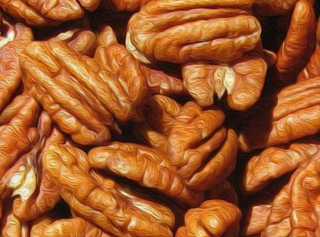 Pecan - benefits and harms