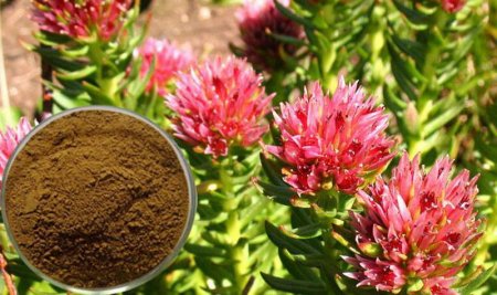 Adaptogens increase the body's defenses