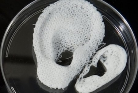 In the US, created 3D-printer to print the human muscles of the Hydrogel