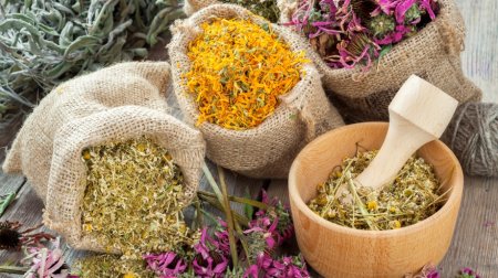 Healthy relaxation: how to make herbal baths?