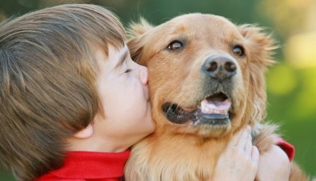 Children and pets: Observe safety rules