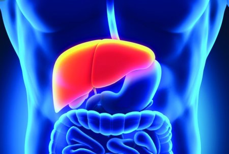 A fatty dystrophia of liver