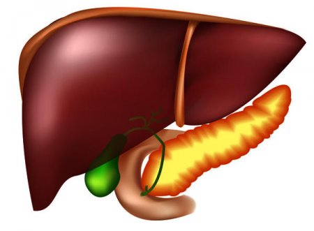 A fatty dystrophia of liver