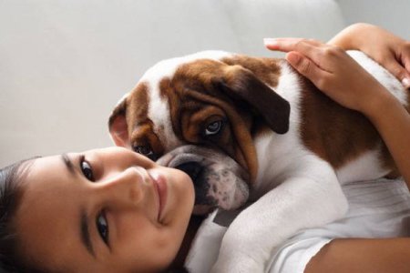 MOST USEFUL AND MOST DANGEROUS Pets