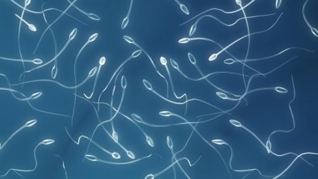 Scientists have managed to create sperm from the skin