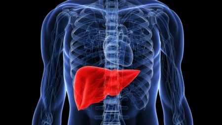 Scientists have found a new way to deal with fatty liver disease