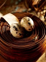 Quail eggs, the composition and properties