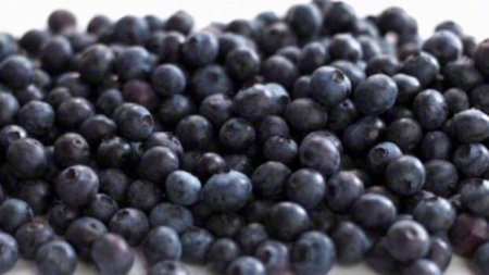 Berries save men from impotence