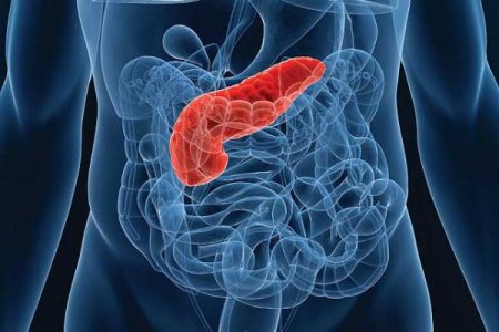 Fibrosis of the pancreas