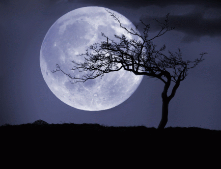 Discover how the moon affects your sleep