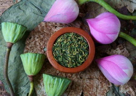 6 herbs for sleep, which get rid of insomnia