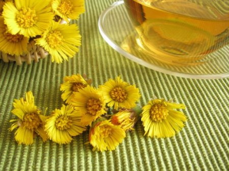 5 best herbs to enhance immunity