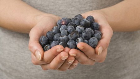 What can save blueberries