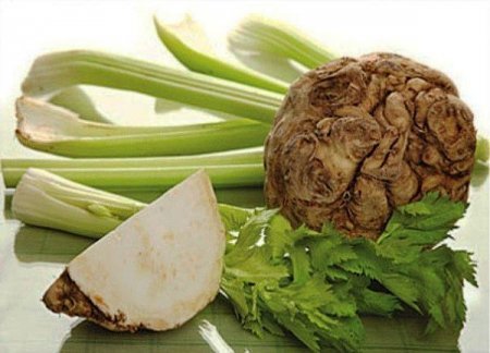 Celery root - useful properties, contraindications