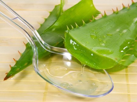 Aloe and honey enhance therapeutic effects of each other
