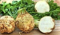 Celery root - useful properties, contraindications