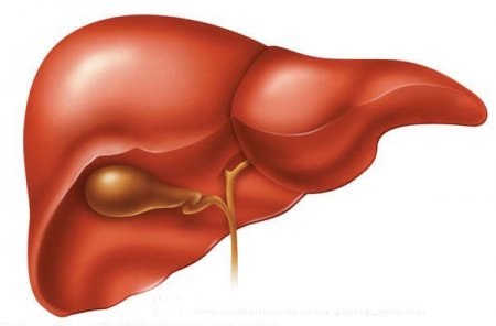 Folk remedies with calcinates in the liver