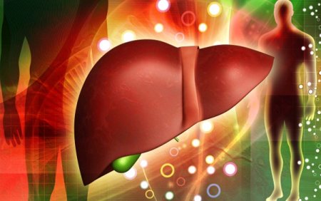 7 most important rules liver health