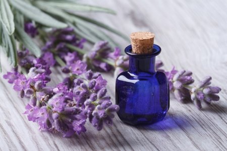 How to improve sleep: lavender oil and melissa