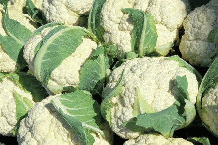 Scientists have identified the most useful vegetable