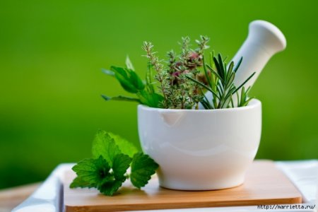 Healing herbs in cystitis