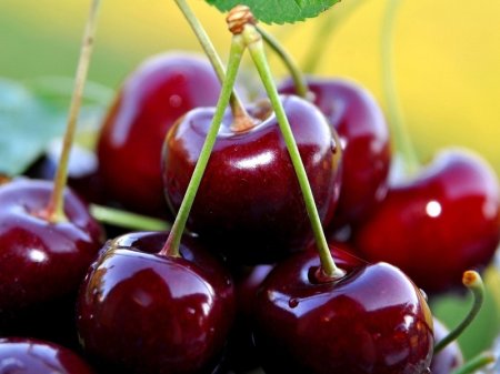 Doctors reported especial usefulness cherries