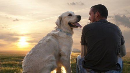 Healing with four-legged friend