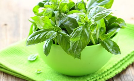 Basil: 6 healing properties