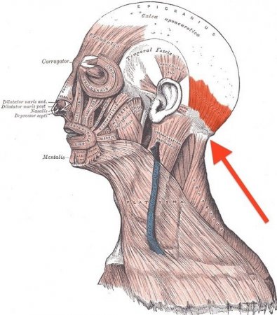 Secret knowledge of Chinese acupuncture