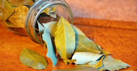 Amazing properties of bay leaves