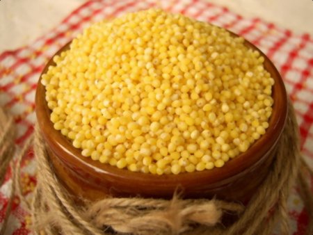 Millet for the treatment of kidney: old recipes