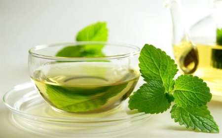 If dizziness caused by weather swings, mint will help