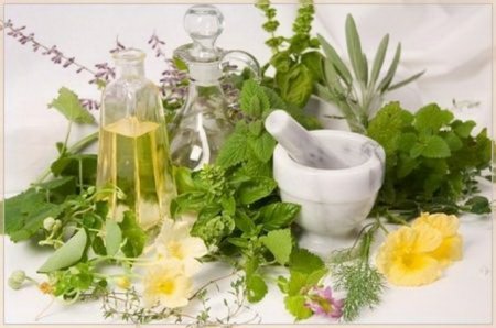Herbs from nerves - advice of traditional medicine