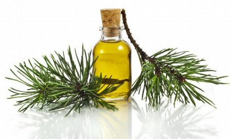 Kidney Cleansing: Essential oils to help