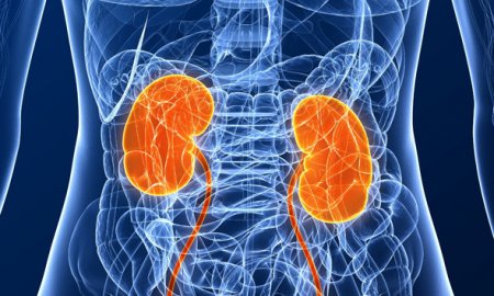 8 the main symptoms of kidney failure