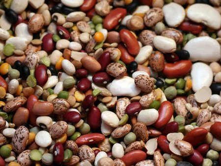 Why should you include in your daily diet of legumes