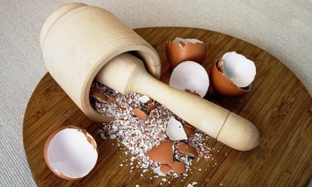 Eggshell and health